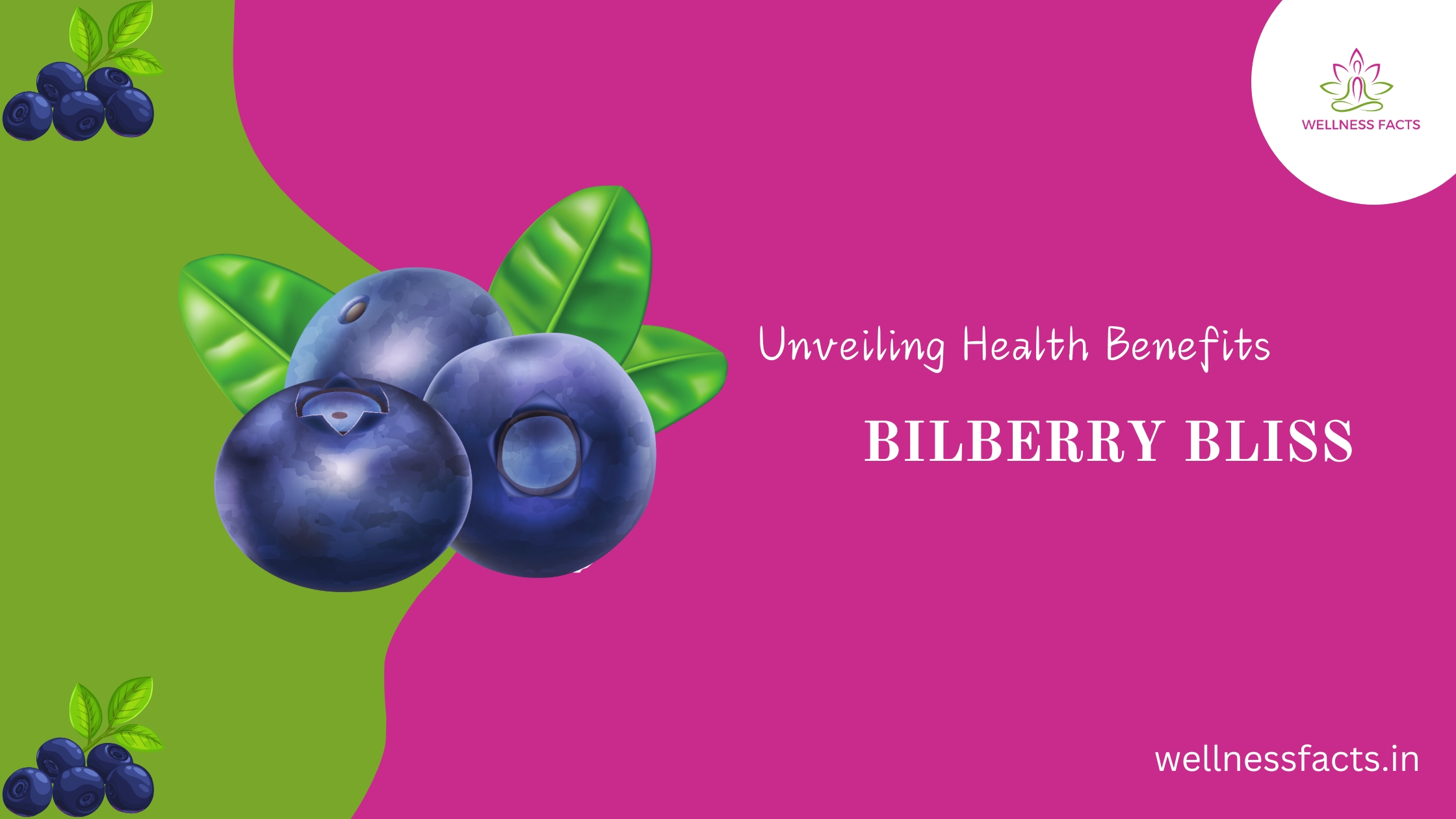 Unveil the Wonders of Bilberry: Discover Its Health Benefits