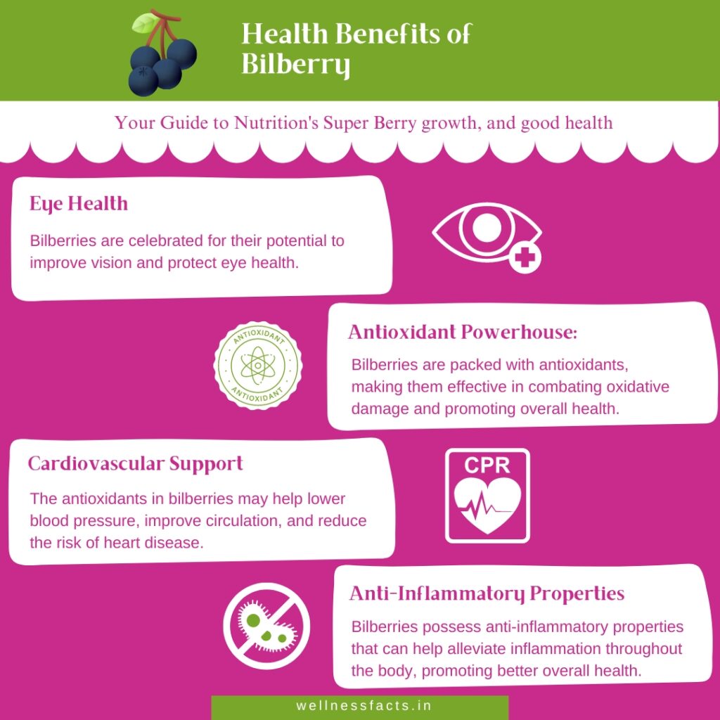 Blueberry Health Benefits