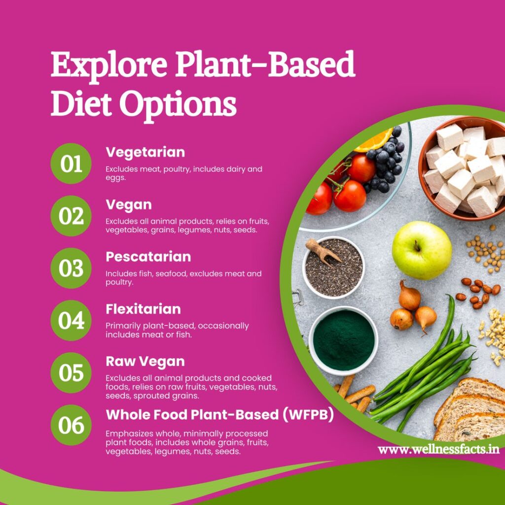 Plant Based Diet Options