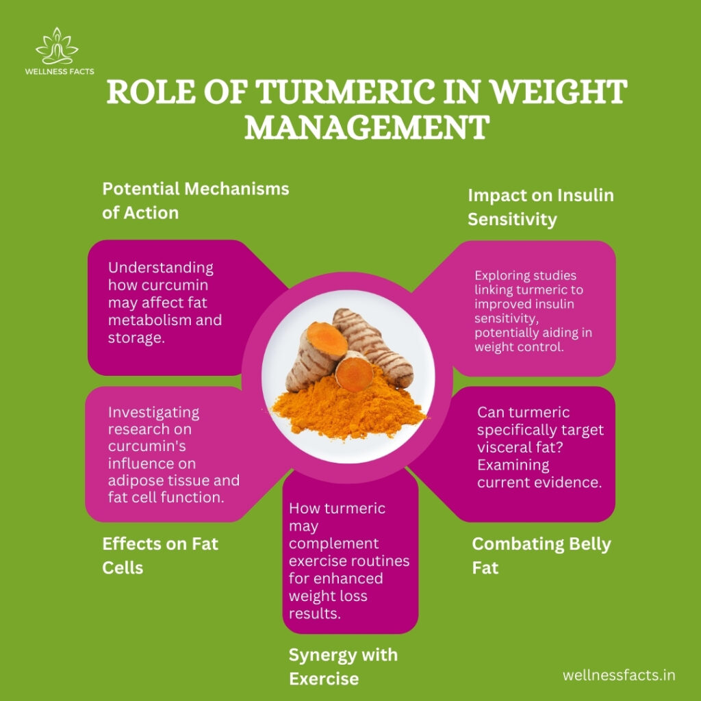 Does Turmeric Help With Dieting